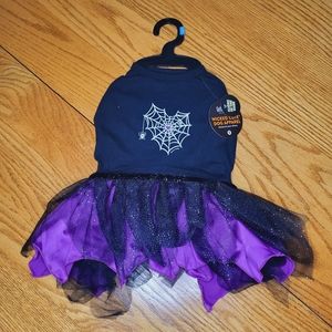 ✨️Thrills & Chills Wicked Cute Dog Dress S